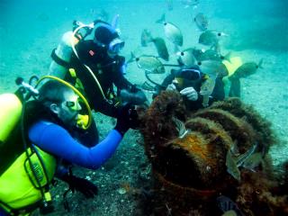 Logo Secretaria de Turismo